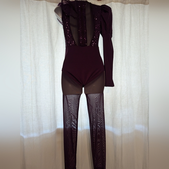 Weismman Dance Costume - Picture 6 of 8